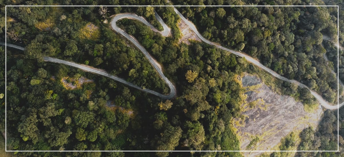 The Twists And Turns