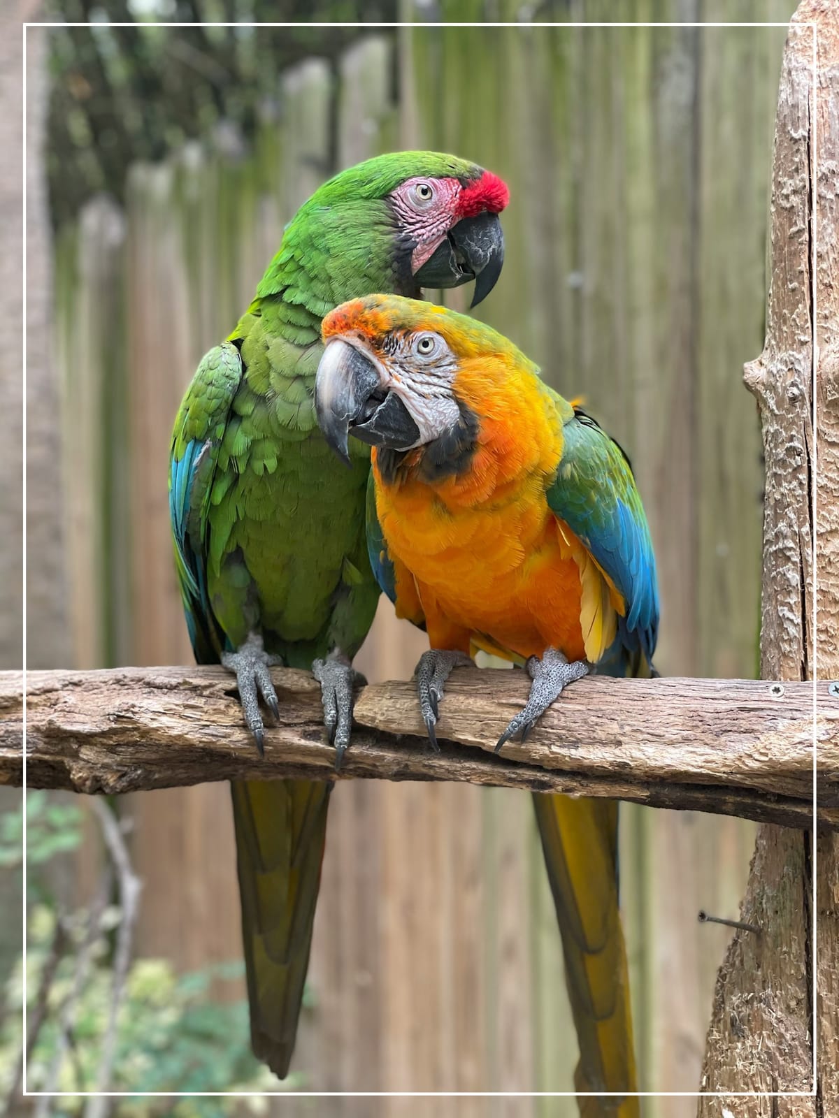 Cherish the Love We Have