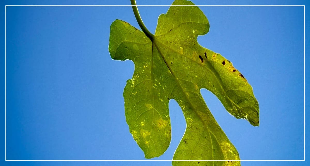 The Last One At The Table