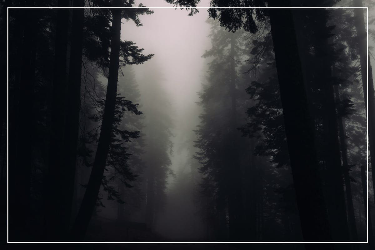 Life Is Full Of Mysteries