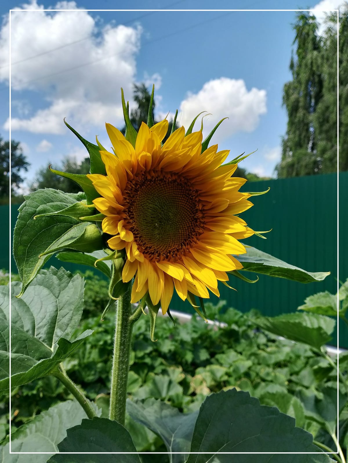 Nothing New Under The Sun